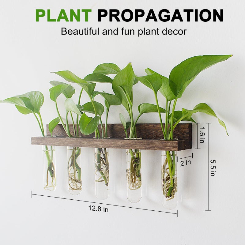 Renmxj Plant Propagation Station Tubes  3 Tiered 15 Wall Hanging Glass Test Tubes Vase Planter for Hydroponic Home Garden Office Decor  Gardening Gifts for Women Plant Lover - Brown - Image 2